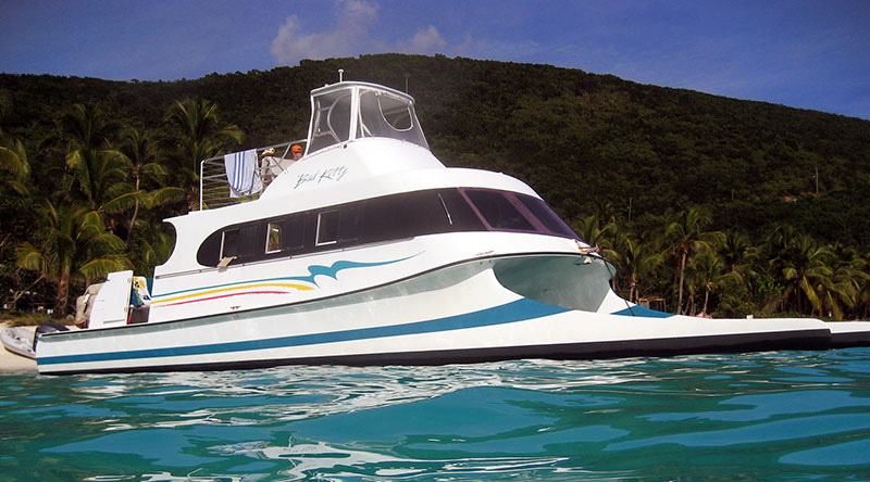 Multihull Wavepiercer Catamaran