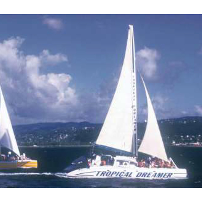 http://Tropical-Dreamer.02.jpg