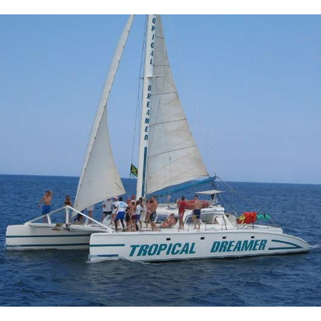 http://Tropical%20Dreamer.01.jpg